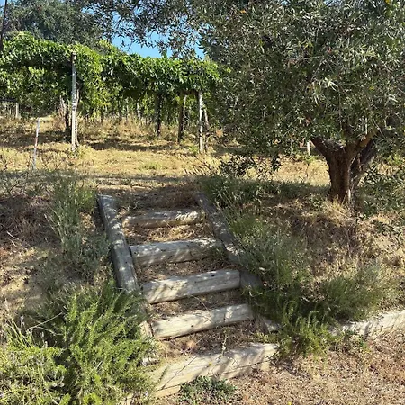 Vingardsferie I Abruzzo - Valle Del Sole Med Basseng Holiday home *