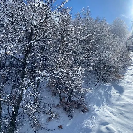 Vingardsferie I Abruzzo - Valle Del Sole Med Basseng * Atri