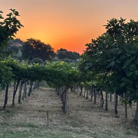Vingardsferie I Abruzzo - Valle Del Sole Med Basseng Holiday home