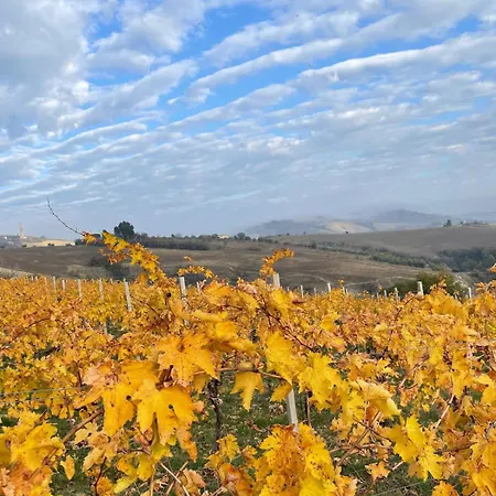 Vingardsferie I Abruzzo - Valle Del Sole Med Basseng Atri