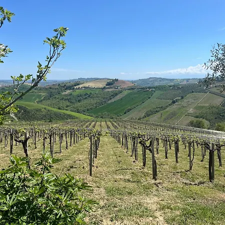 Vingardsferie I Abruzzo - Valle Del Sole Med Basseng
