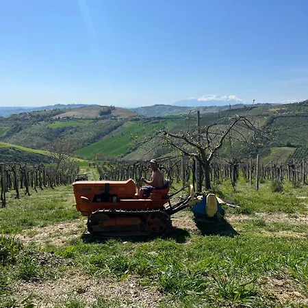 Vingardsferie I Abruzzo - Valle Del Sole Med Basseng Holiday home Atri
